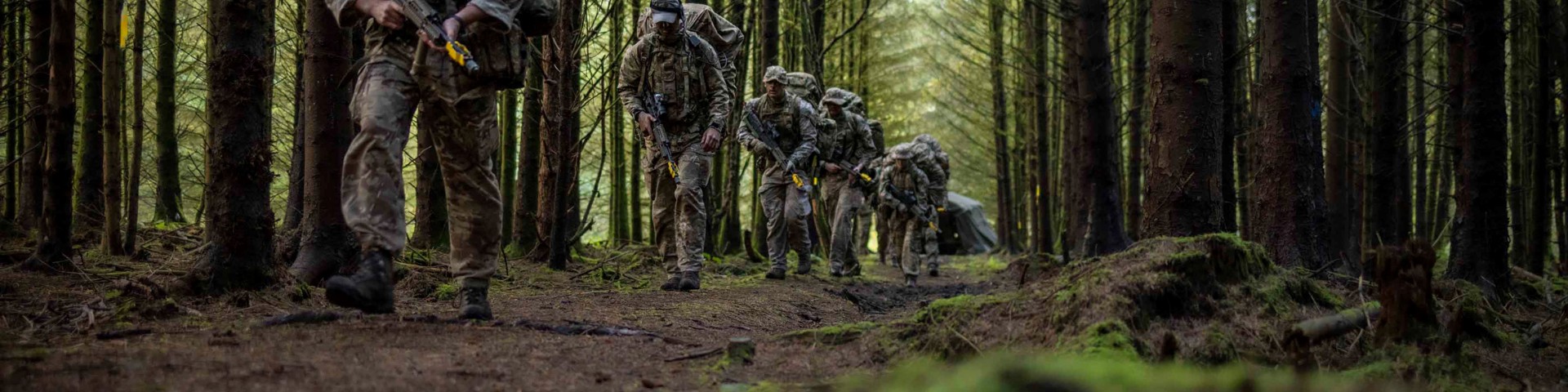 Soldiers Patrol Forest